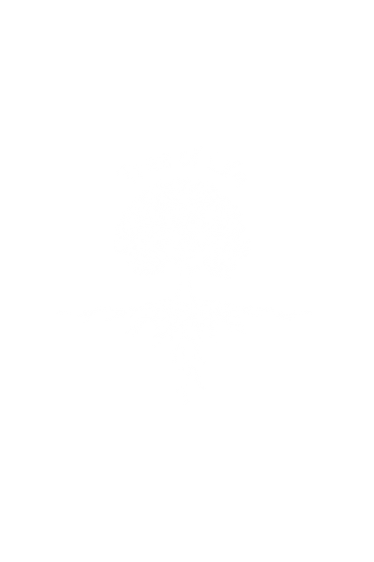 Tree of Life T-shirt For Women